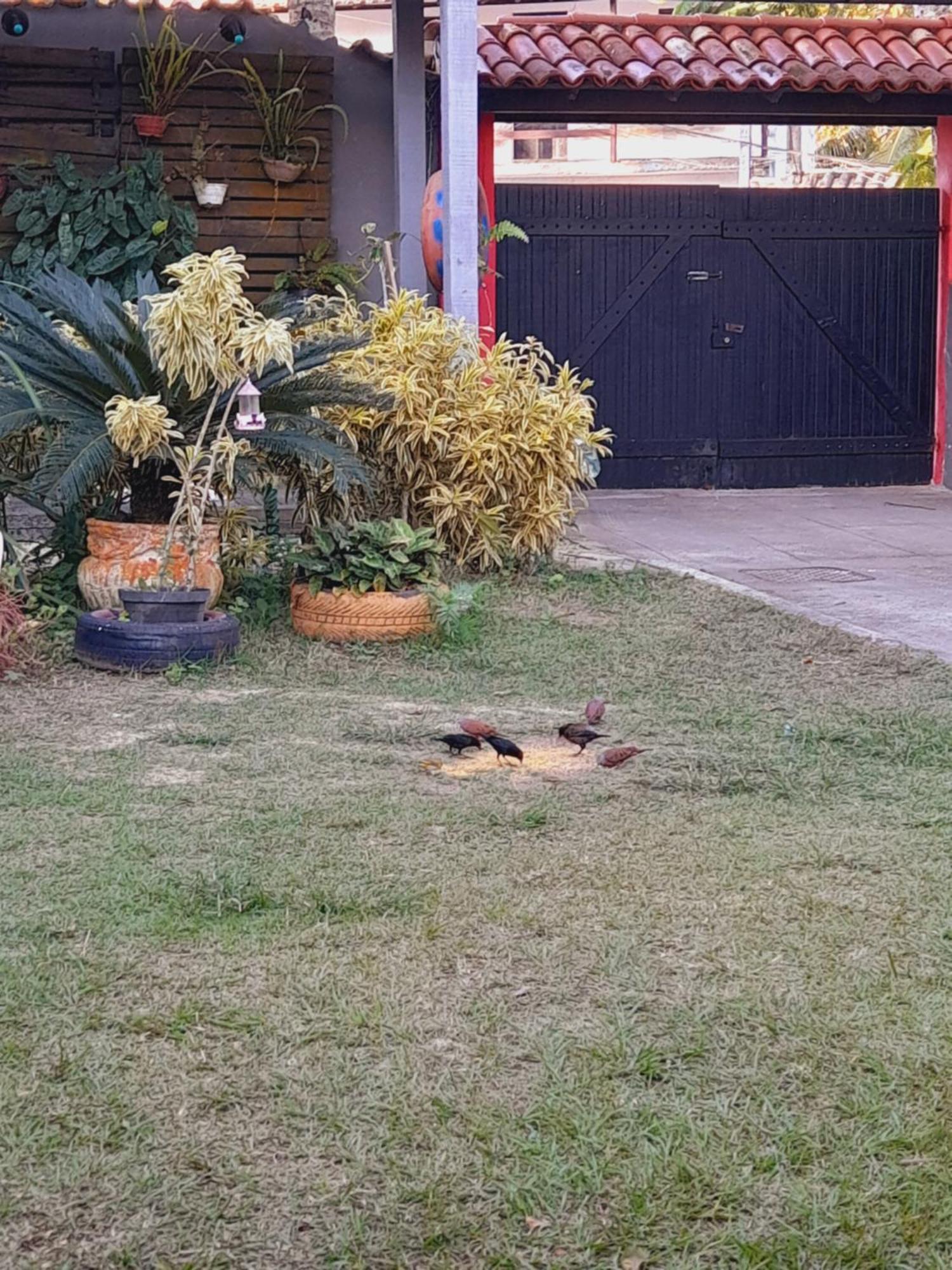 Pousada Flora Buzios Luaran gambar