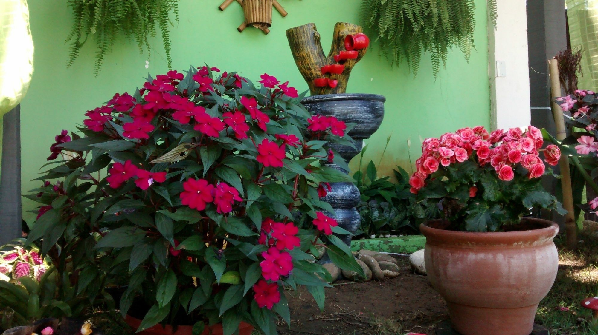 Pousada Flora Buzios Luaran gambar
